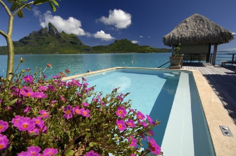 The Exotic Jewelry St. Regis Bora Bora Resort the exotic jewelry st regis bora bora resort 8233769