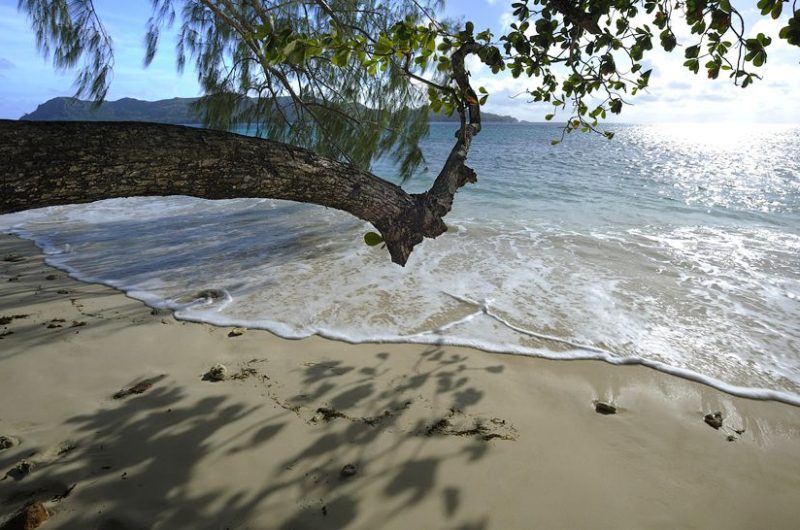 Discover the Heavenly Raffles Praslin, Seychelles discover the heavenly raffles praslin seychelles 31ecdd7
