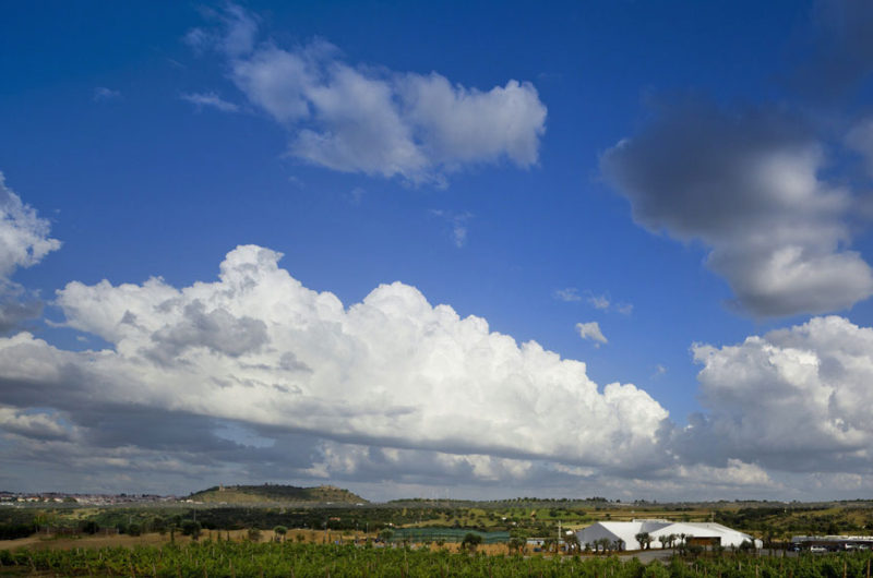 hotel land vineyards a paradise for wine enthusiasts 1807a64