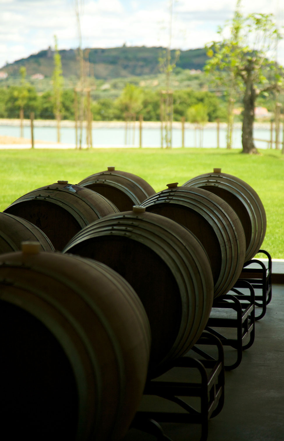 Hotel L'AND Vineyards: A Paradise for Wine Enthusiasts hotel land vineyards a paradise for wine enthusiasts 34b6a36