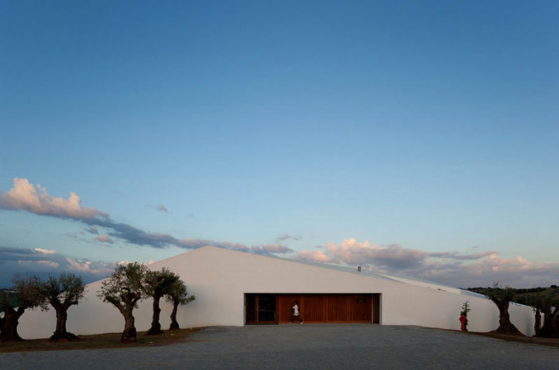 Hotel L'AND Vineyards: A Paradise for Wine Enthusiasts hotel land vineyards a paradise for wine enthusiasts 6eb947d