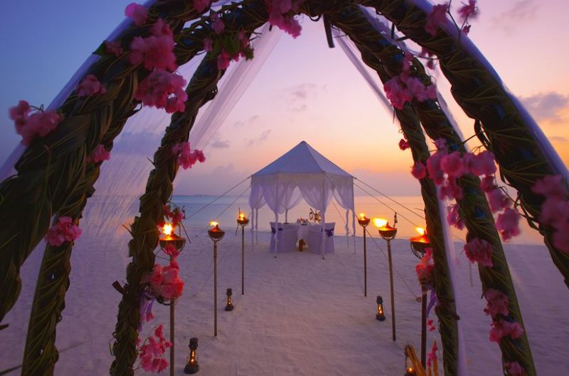 Lush Anantara Dhigu Resort & Spa in the Maldives lush anantara dhigu resort spa in the maldives 9d51821