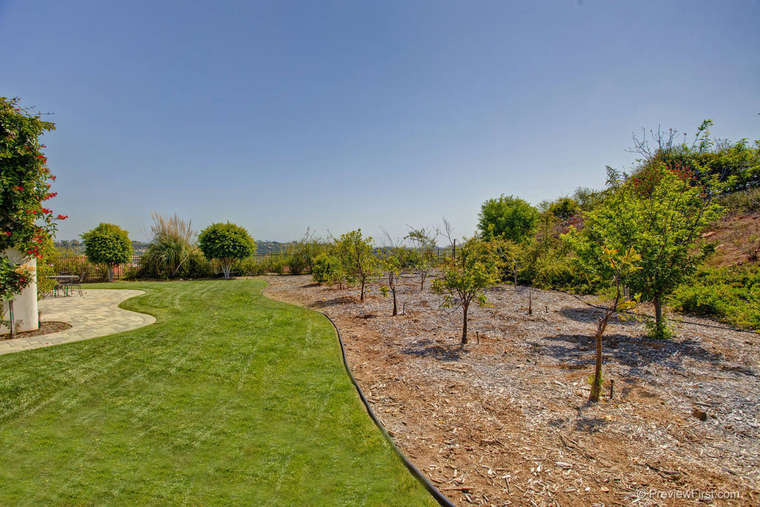 Luxurious Trophy Estate in Encinitas, California luxurious trophy estate in encinitas california 2a8b76a