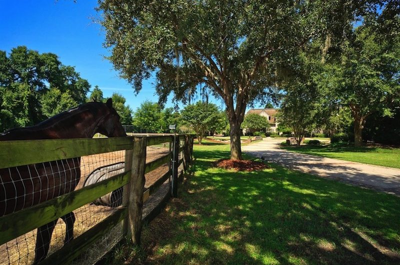 Outstanding French Country Equestrian Estate in Orlando, Florida outstanding french country equestrian estate in orlando florida c79662f