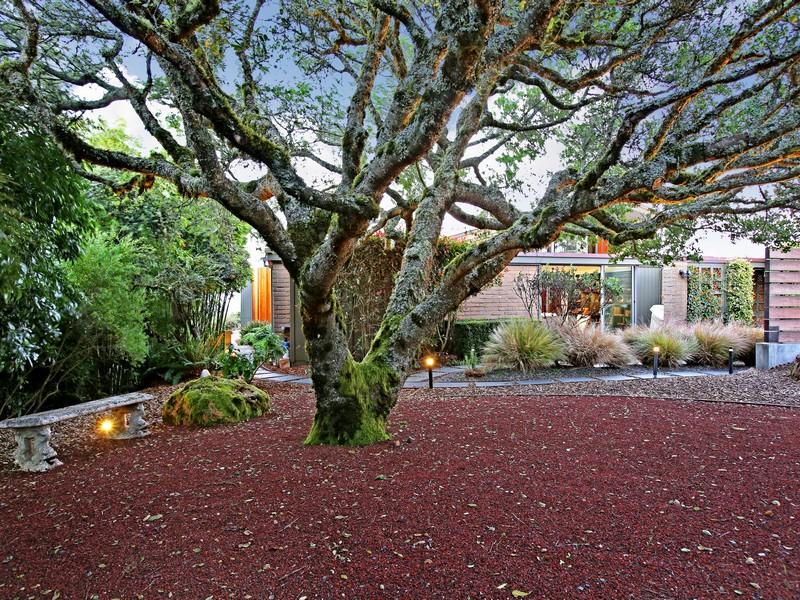 Stunning Contemporary Residence in Sausalito, California stunning contemporary residence in sausalito california ded2596