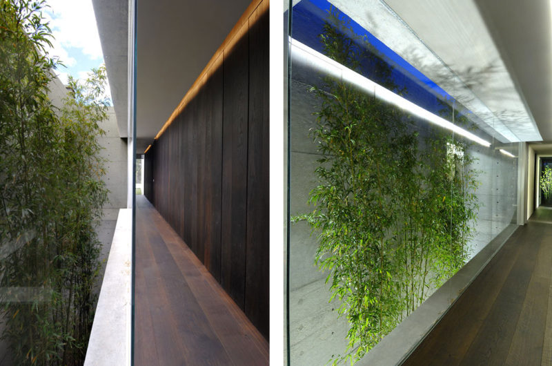 The Concrete House: Elegance and Comfort the concrete house elegance and comfort d091c3c