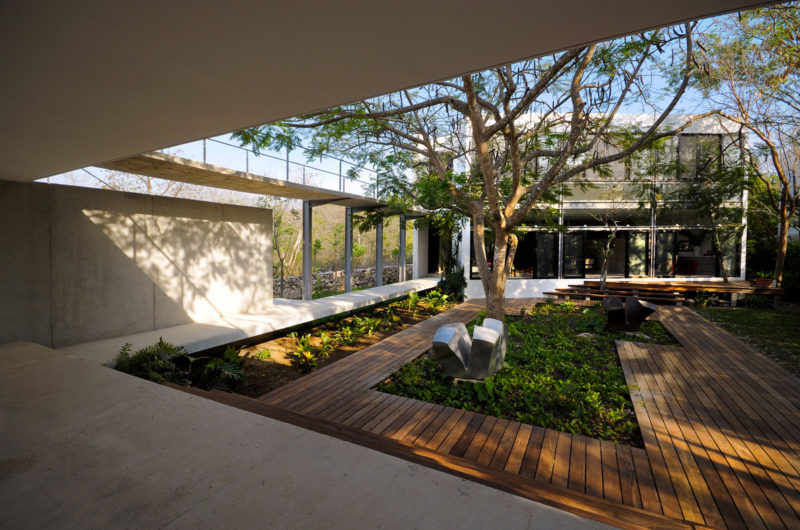 the house among trees in mrida mxico 22bf24f