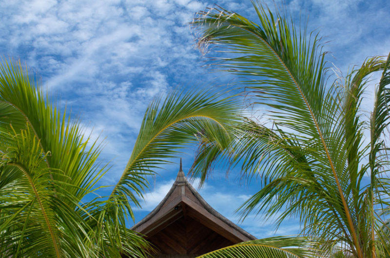 The Pristine Jumeirah Vittaveli Resort the pristine jumeirah vittaveli resort 0a0d318