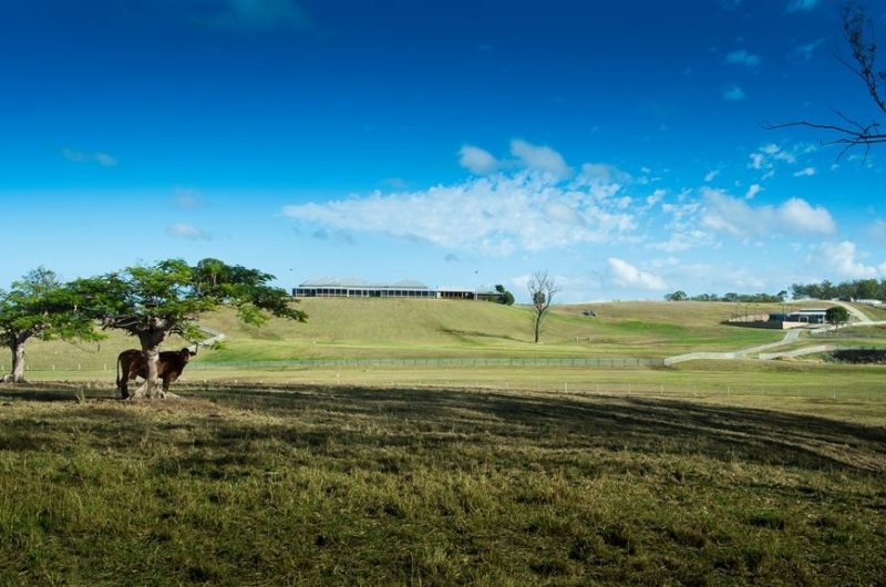 The Wirraway Property Is A Symbol Of Wealth And Opulence the wirraway property is a symbol of wealth and opulence 5c0f214