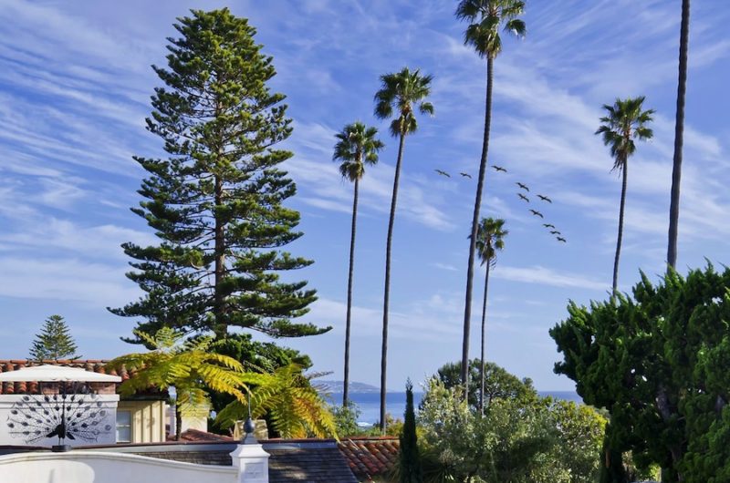 Lovely La Jolla Residence lovely la jolla residence 9b80fcf